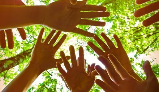 Sustainability reporting